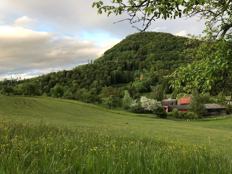 Einblick ins Kräuterwerk im Strohturm