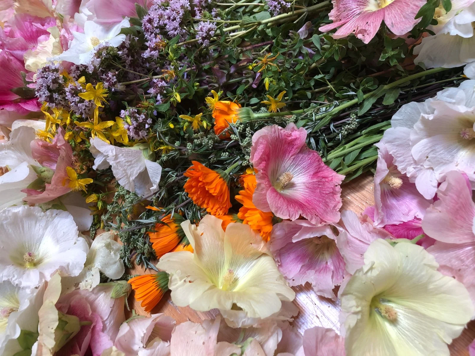 Blüten und Kräuter aus dem Garten des Kräuterwerks